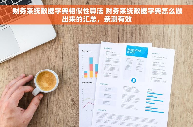  财务系统数据字典相似性算法 财务系统数据字典怎么做出来的汇总，亲测有效
