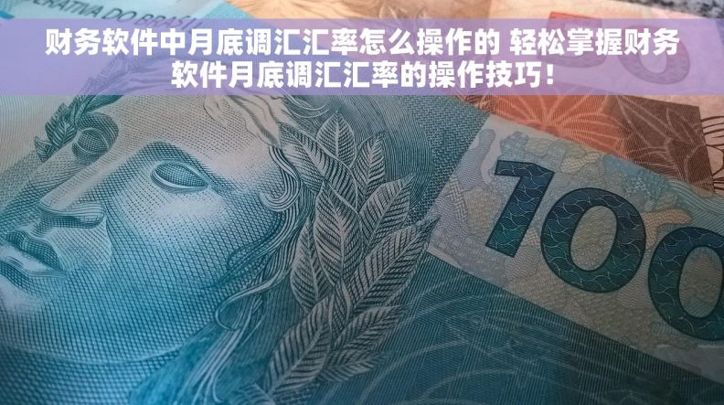 财务软件中月底调汇汇率怎么操作的 轻松掌握财务软件月底调汇汇率的操作技巧！