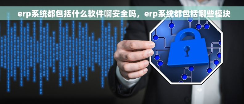   erp系统都包括什么软件啊安全吗，erp系统都包括哪些模块