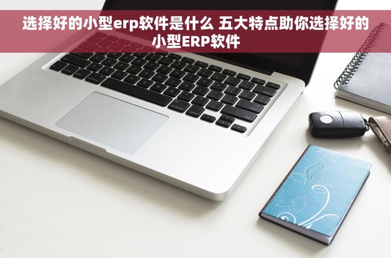 选择好的小型erp软件是什么 五大特点助你选择好的小型ERP软件
