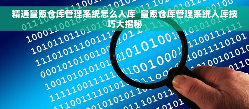 精通量贩仓库管理系统怎么入库  量贩仓库管理系统入库技巧大揭秘
