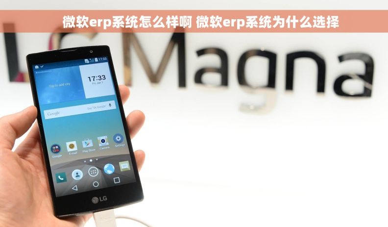     微软erp系统怎么样啊 微软erp系统为什么选择