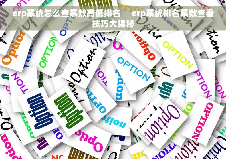erp系统怎么查系数高低排名     erp系统排名系数查看技巧大揭秘