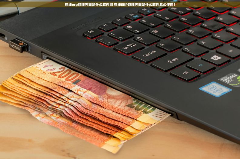 在线erp管理界面是什么软件啊 在线ERP管理界面是什么软件怎么使用？