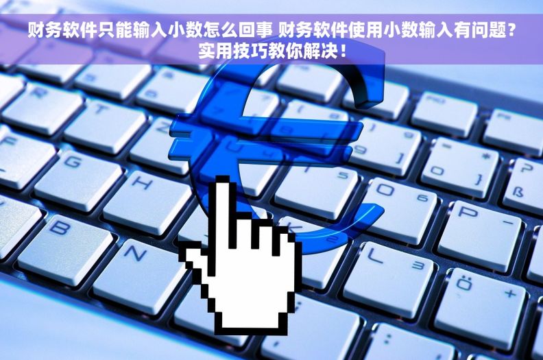 财务软件只能输入小数怎么回事 财务软件使用小数输入有问题？实用技巧教你解决！