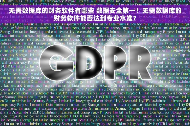 无需数据库的财务软件有哪些 数据安全第一！无需数据库的财务软件能否达到专业水准？