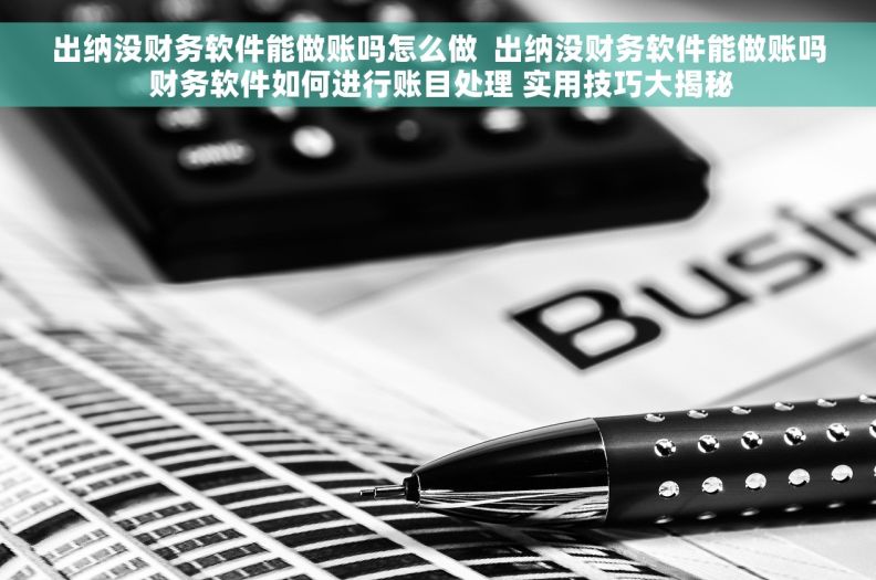 出纳没财务软件能做账吗怎么做  出纳没财务软件能做账吗 财务软件如何进行账目处理 实用技巧大揭秘