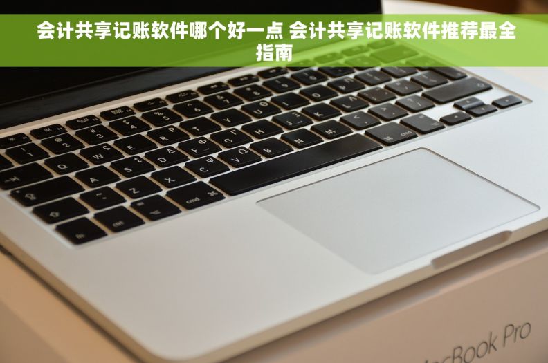  会计共享记账软件哪个好一点 会计共享记账软件推荐最全指南