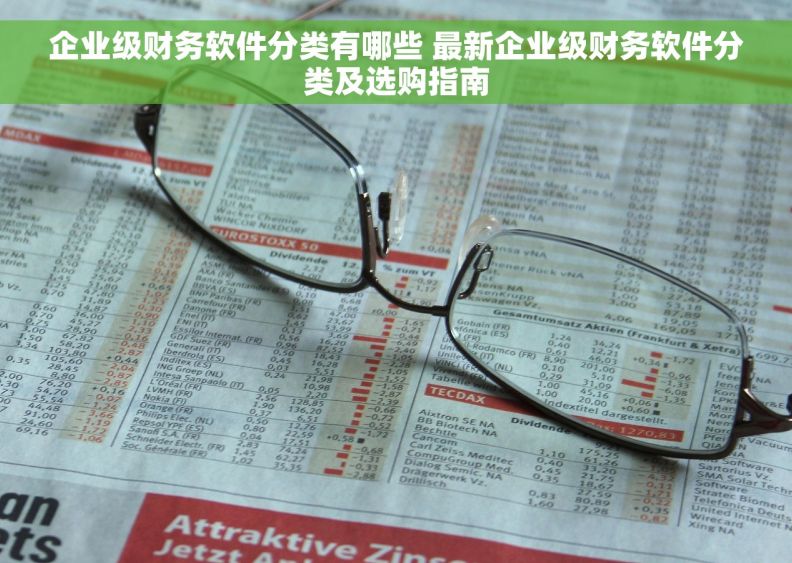 企业级财务软件分类有哪些 最新企业级财务软件分类及选购指南