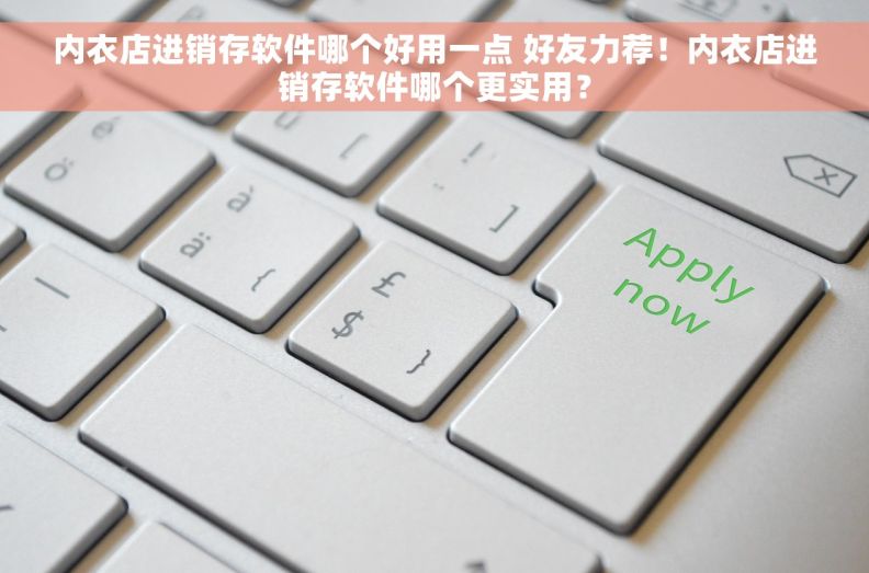 内衣店进销存软件哪个好用一点 好友力荐！内衣店进销存软件哪个更实用？