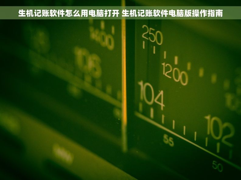 生机记账软件怎么用电脑打开 生机记账软件电脑版操作指南