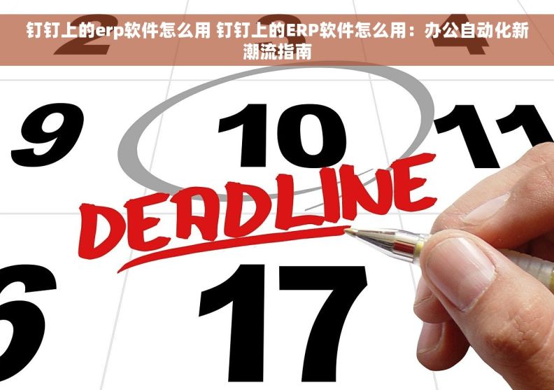 钉钉上的erp软件怎么用 钉钉上的ERP软件怎么用：办公自动化新潮流指南