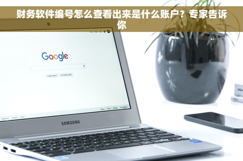 财务软件编号怎么查看出来是什么账户？专家告诉你