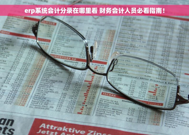 erp系统会计分录在哪里看 财务会计人员必看指南！