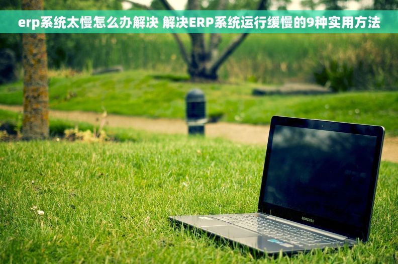 erp系统太慢怎么办解决 解决ERP系统运行缓慢的9种实用方法