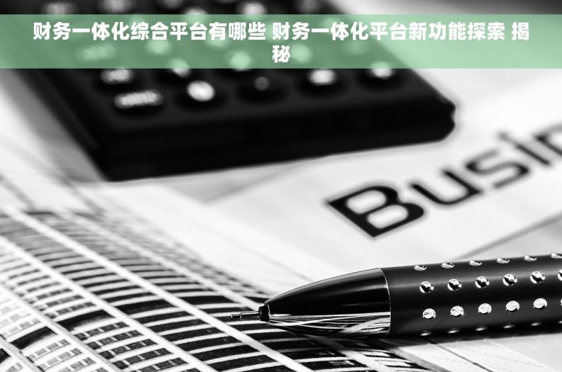 财务一体化综合平台有哪些 财务一体化平台新功能探索 揭秘