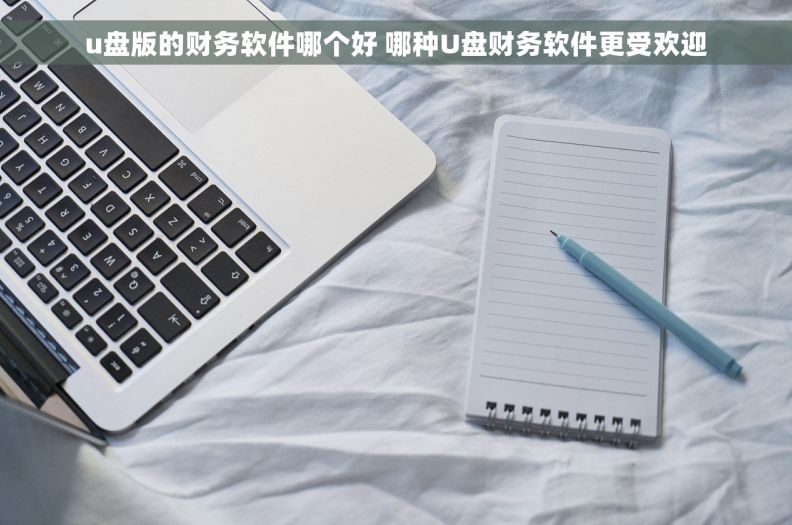 u盘版的财务软件哪个好 哪种U盘财务软件更受欢迎