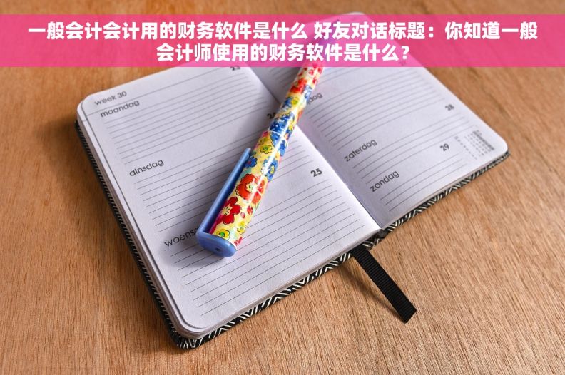 一般会计会计用的财务软件是什么 好友对话标题：你知道一般会计师使用的财务软件是什么？