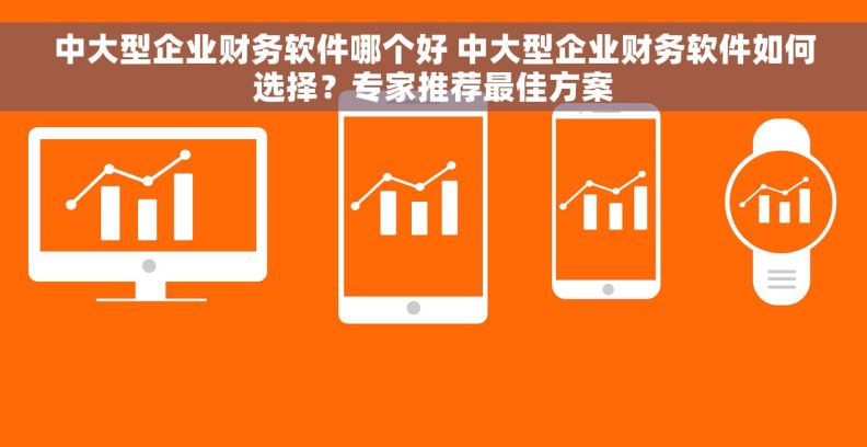 中大型企业财务软件哪个好 中大型企业财务软件如何选择？专家推荐最佳方案
