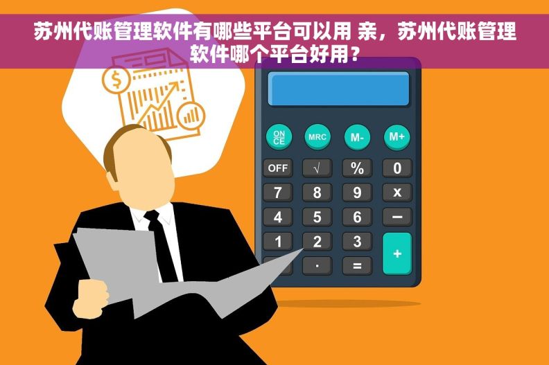 苏州代账管理软件有哪些平台可以用 亲，苏州代账管理软件哪个平台好用？