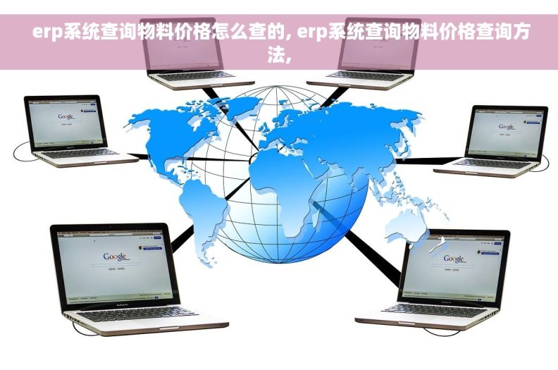  erp系统查询物料价格怎么查的, erp系统查询物料价格查询方法,
