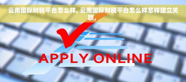 云南国际财税平台怎么样, 云南国际财税平台怎么样怎样建立关联, 