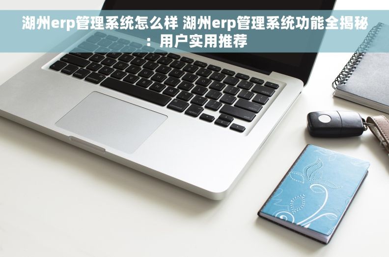 湖州erp管理系统怎么样 湖州erp管理系统功能全揭秘：用户实用推荐