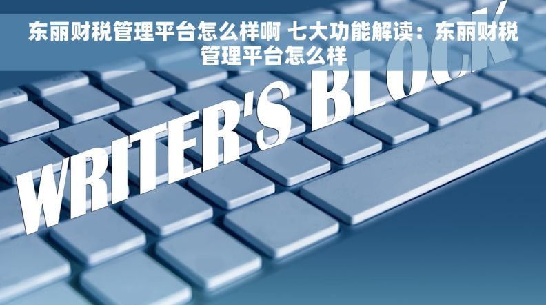 东丽财税管理平台怎么样啊 七大功能解读：东丽财税管理平台怎么样