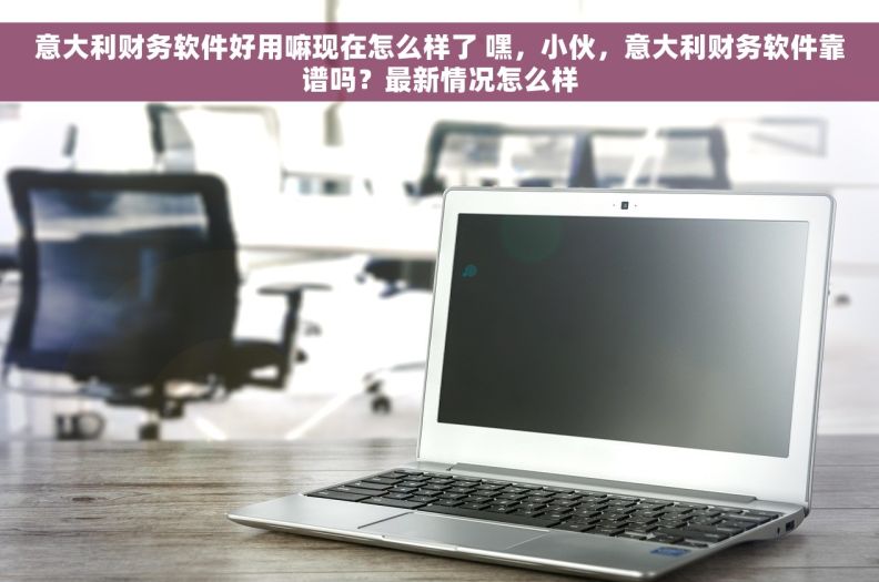 意大利财务软件好用嘛现在怎么样了 嘿，小伙，意大利财务软件靠谱吗？最新情况怎么样