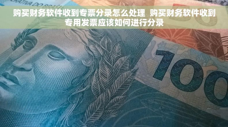 购买财务软件收到专票分录怎么处理  购买财务软件收到专用发票应该如何进行分录