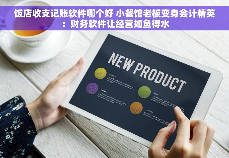 饭店收支记账软件哪个好 小餐馆老板变身会计精英：财务软件让经营如鱼得水