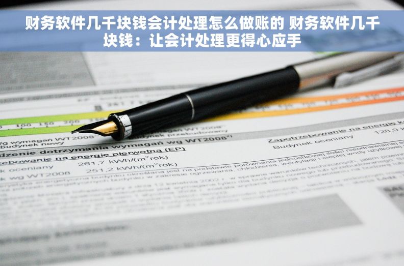 财务软件几千块钱会计处理怎么做账的 财务软件几千块钱：让会计处理更得心应手