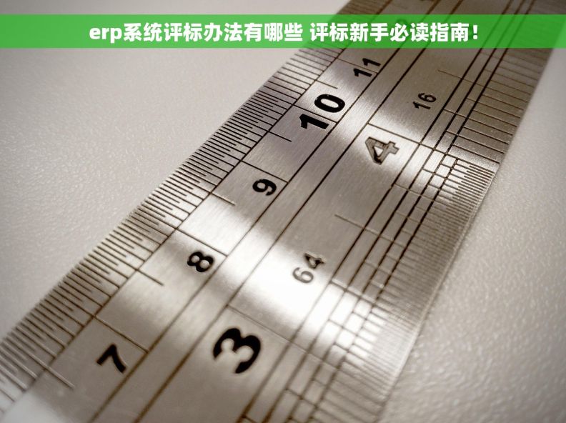 erp系统评标办法有哪些 评标新手必读指南！