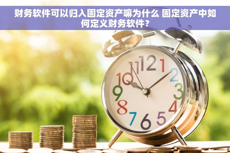 财务软件可以归入固定资产嘛为什么 固定资产中如何定义财务软件？