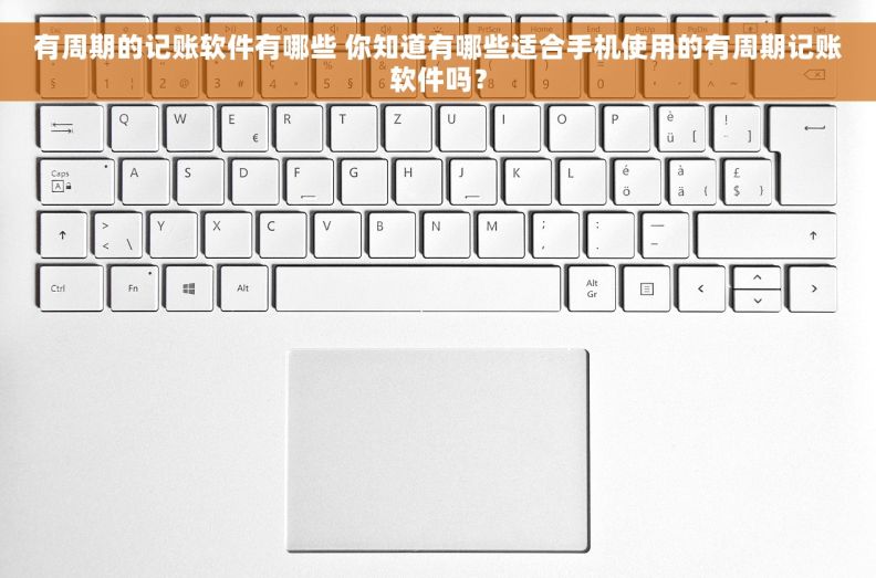 有周期的记账软件有哪些 你知道有哪些适合手机使用的有周期记账软件吗？