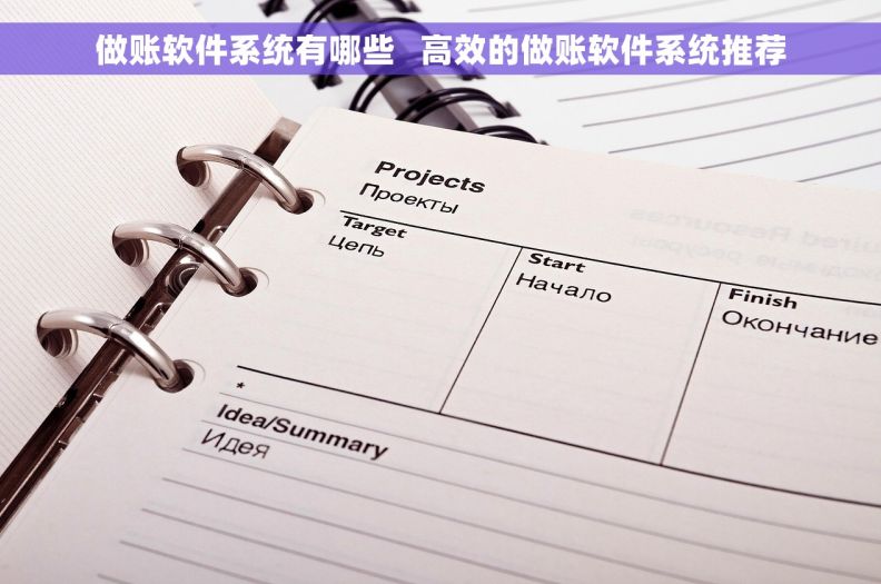 做账软件系统有哪些   高效的做账软件系统推荐