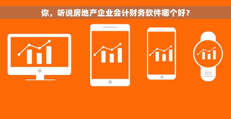 你，听说房地产企业会计财务软件哪个好？