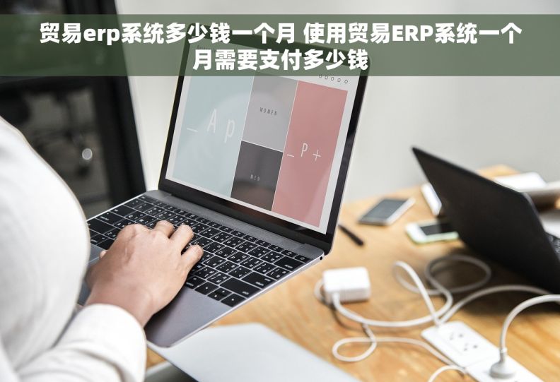贸易erp系统多少钱一个月 使用贸易ERP系统一个月需要支付多少钱