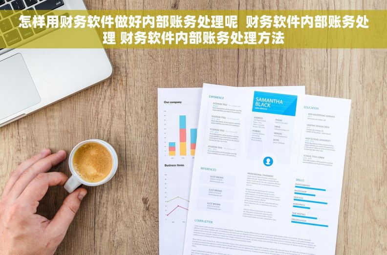 怎样用财务软件做好内部账务处理呢  财务软件内部账务处理 财务软件内部账务处理方法
