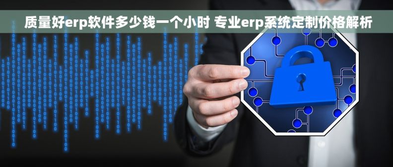  质量好erp软件多少钱一个小时 专业erp系统定制价格解析