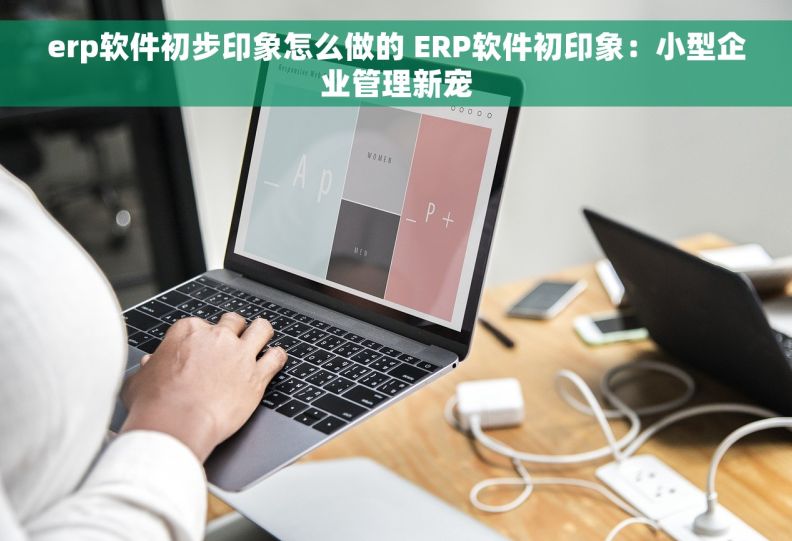 erp软件初步印象怎么做的 ERP软件初印象：小型企业管理新宠
