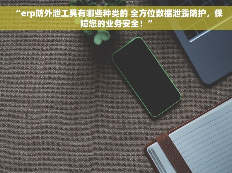 “erp防外泄工具有哪些种类的 全方位数据泄露防护，保障您的业务安全！”
