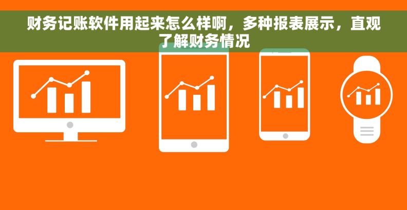 财务记账软件用起来怎么样啊，多种报表展示，直观了解财务情况
