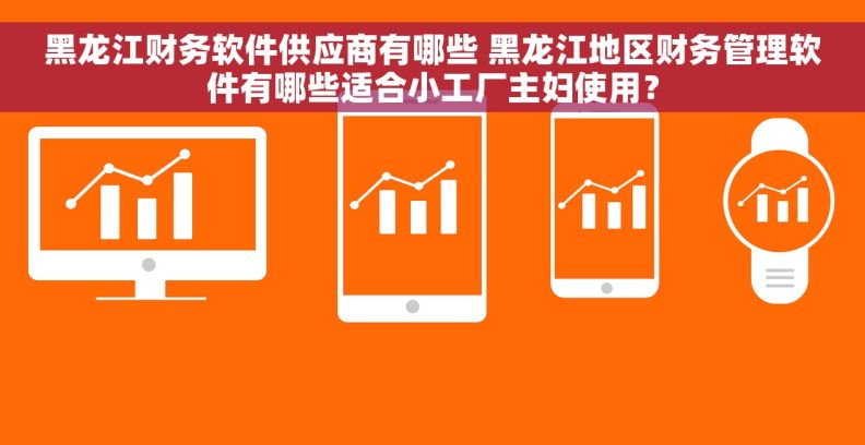 黑龙江财务软件供应商有哪些 黑龙江地区财务管理软件有哪些适合小工厂主妇使用？