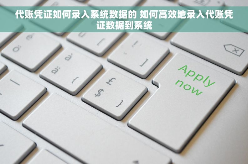 代账凭证如何录入系统数据的 如何高效地录入代账凭证数据到系统