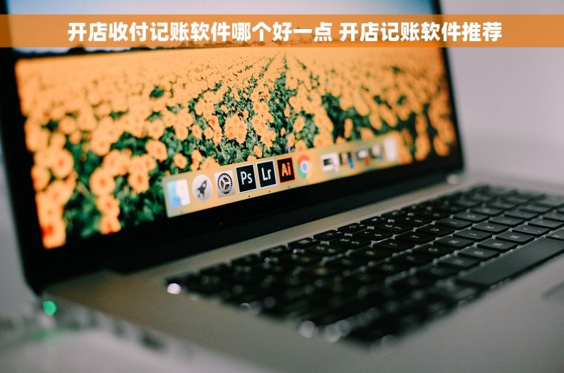  开店收付记账软件哪个好一点 开店记账软件推荐