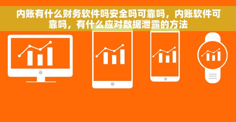 内账有什么财务软件吗安全吗可靠吗，内账软件可靠吗，有什么应对数据泄露的方法