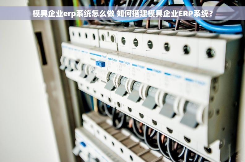 模具企业erp系统怎么做 如何搭建模具企业ERP系统？