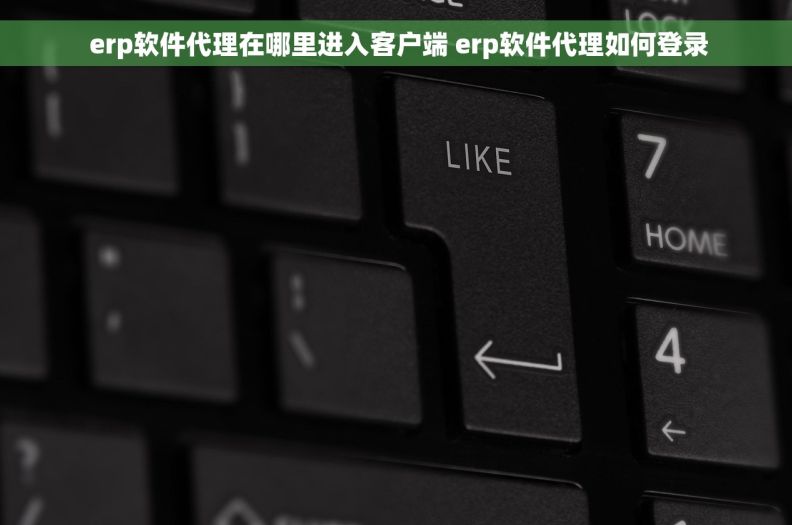 erp软件代理在哪里进入客户端 erp软件代理如何登录