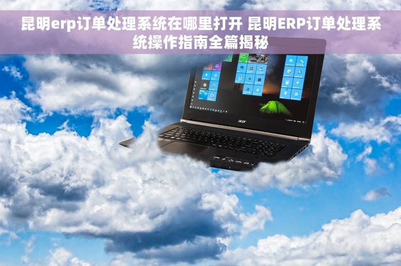 昆明erp订单处理系统在哪里打开 昆明ERP订单处理系统操作指南全篇揭秘